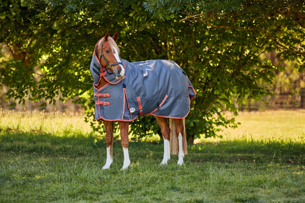 Weatherbeeta ComFiTec Essential Plus Detach-A-Neck Medium - (220g)