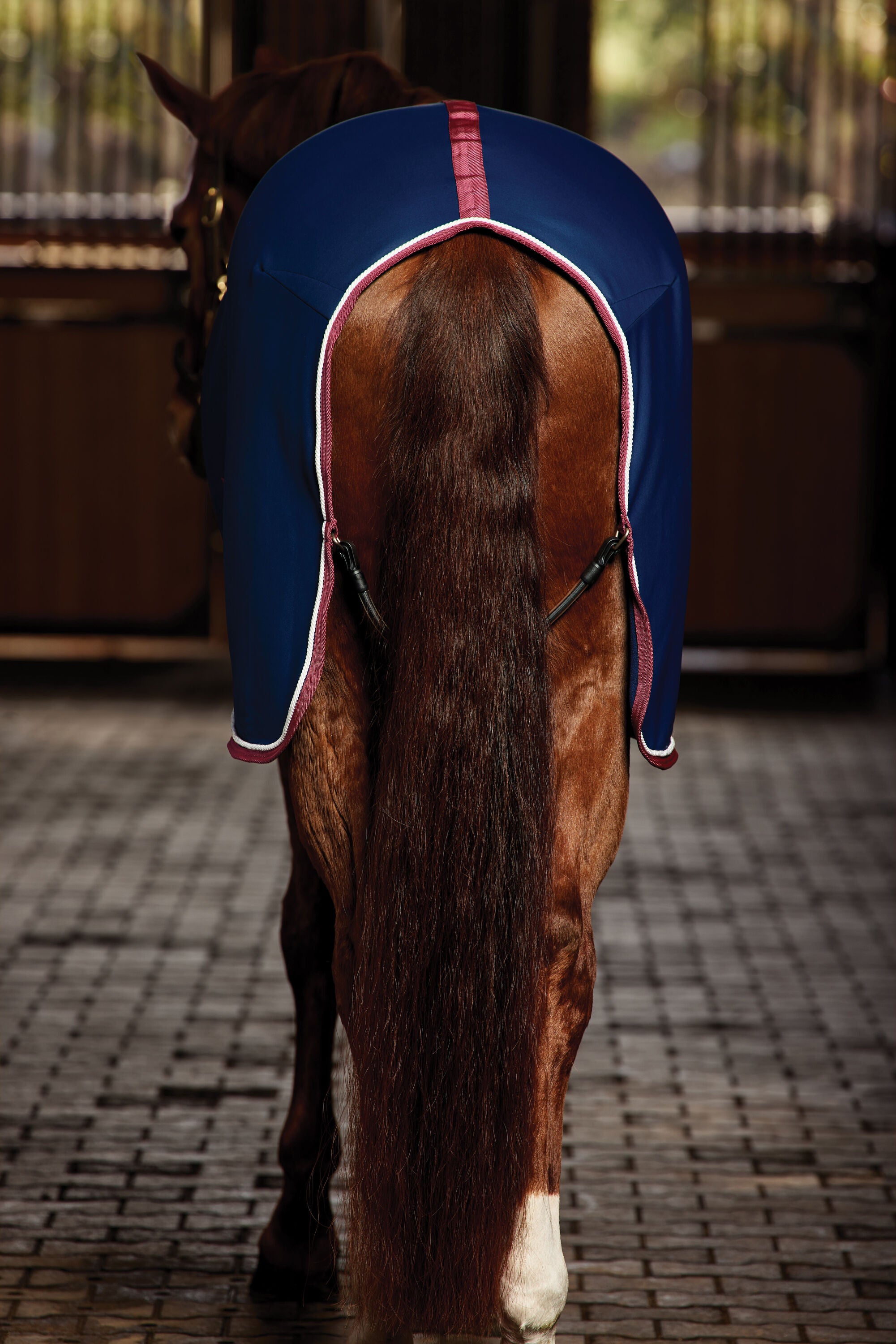 WeatherBeeta Standard Neck Opulence Show Sheet - Navy / Burgundy