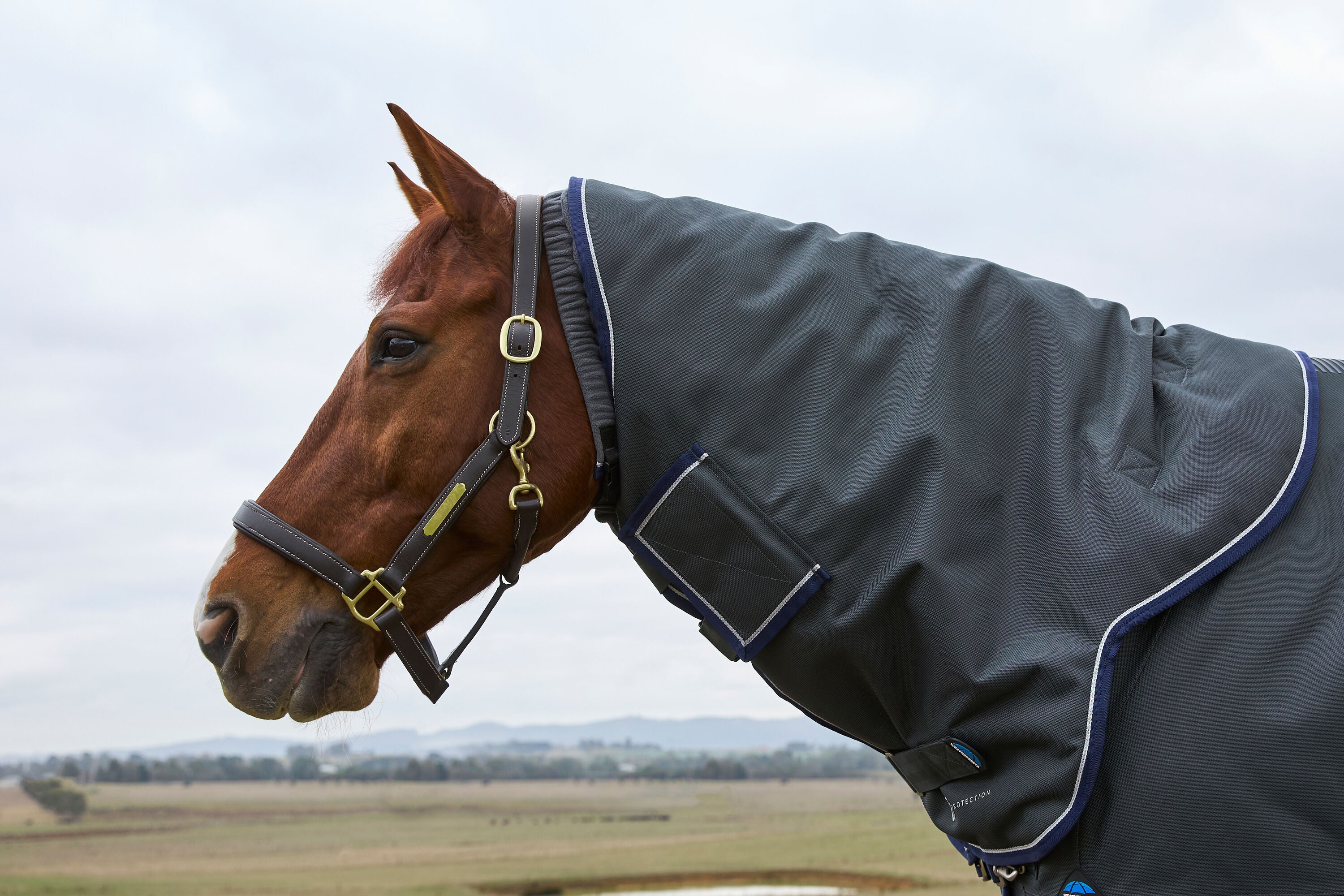 WeatherBeeta ComfiTec Ultra Detach-A-Neck Turnout - Charcoal (220g)