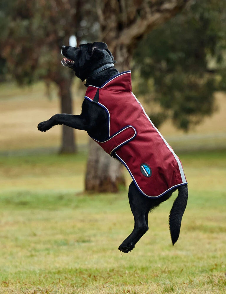 WeatherBeeta ComFiTec Premier Deluxe Waterproof Dog Coat