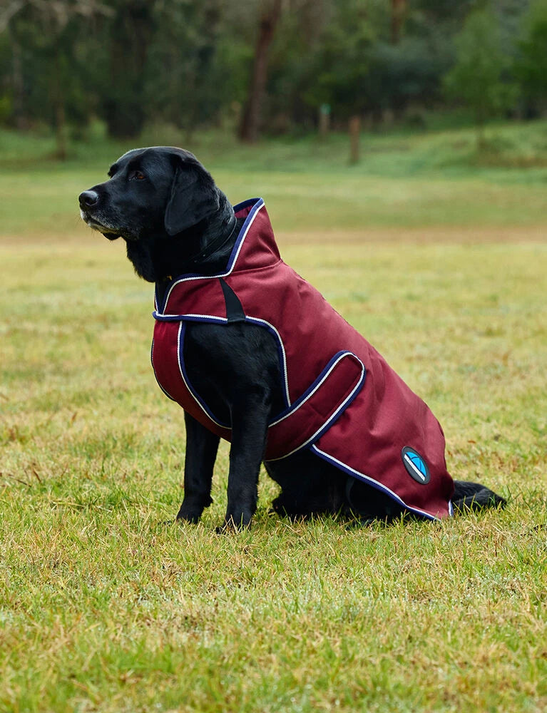 WeatherBeeta ComFiTec Premier Deluxe Waterproof Dog Coat