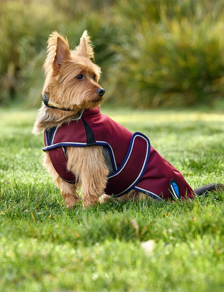 WeatherBeeta ComFiTec Premier Deluxe Waterproof Dog Coat