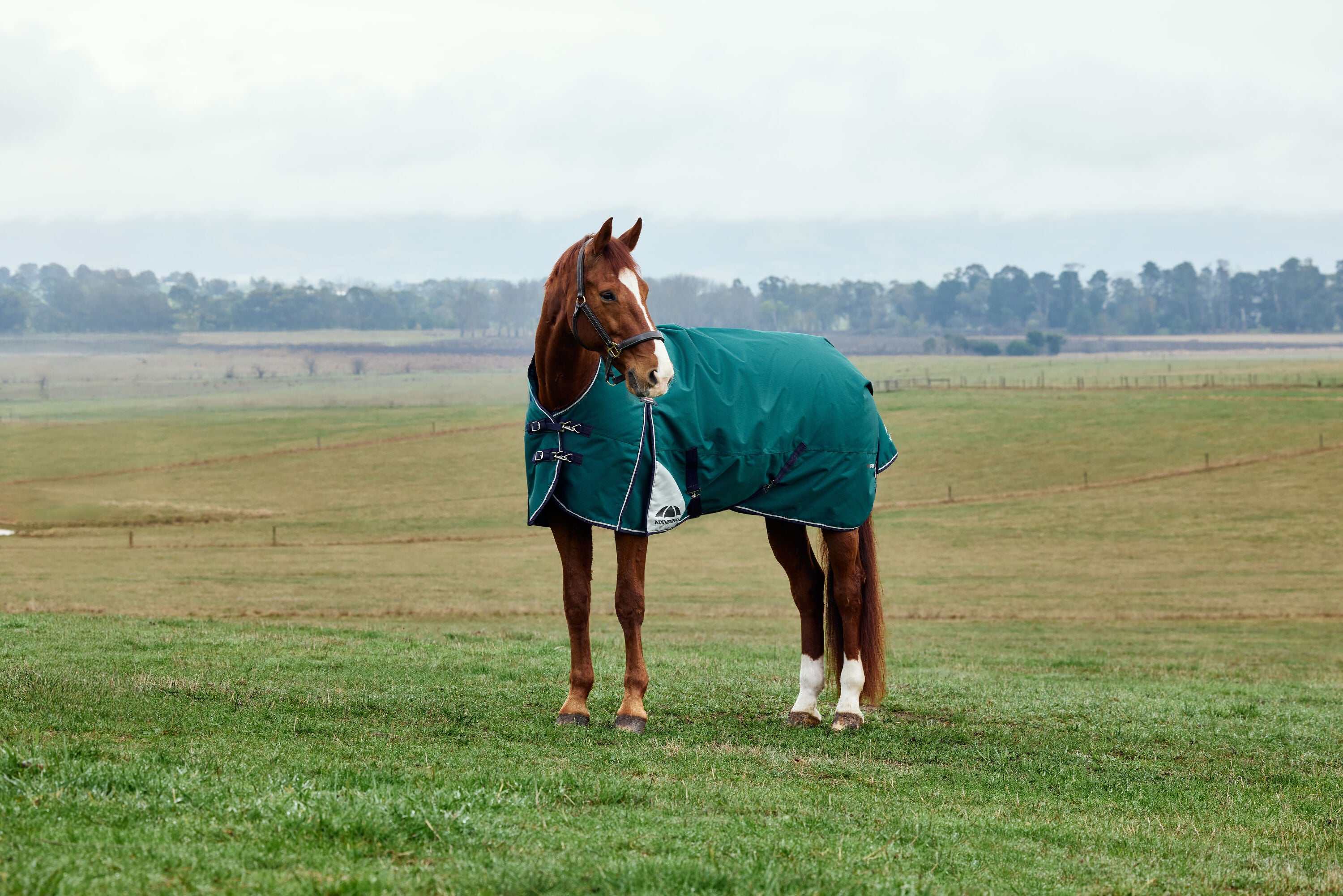 WeatherBeeta ComFiTec Plus Dynamic Turnout - High Neck - Forest Green / Navy (220g)