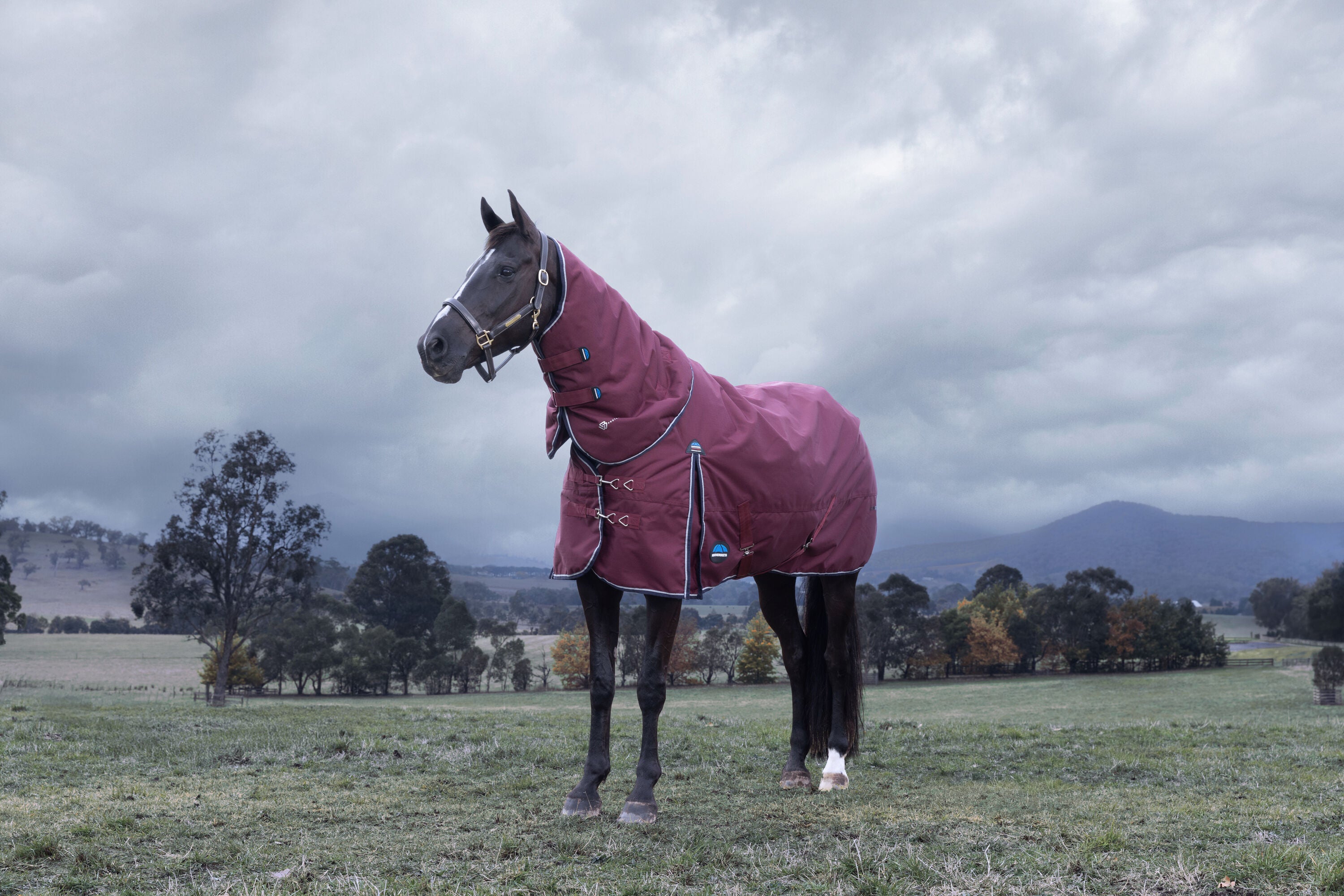 WeatherBeeta ComFiTec Essential Detach-A-Neck Turnout - Burgundy/Navy (220g)