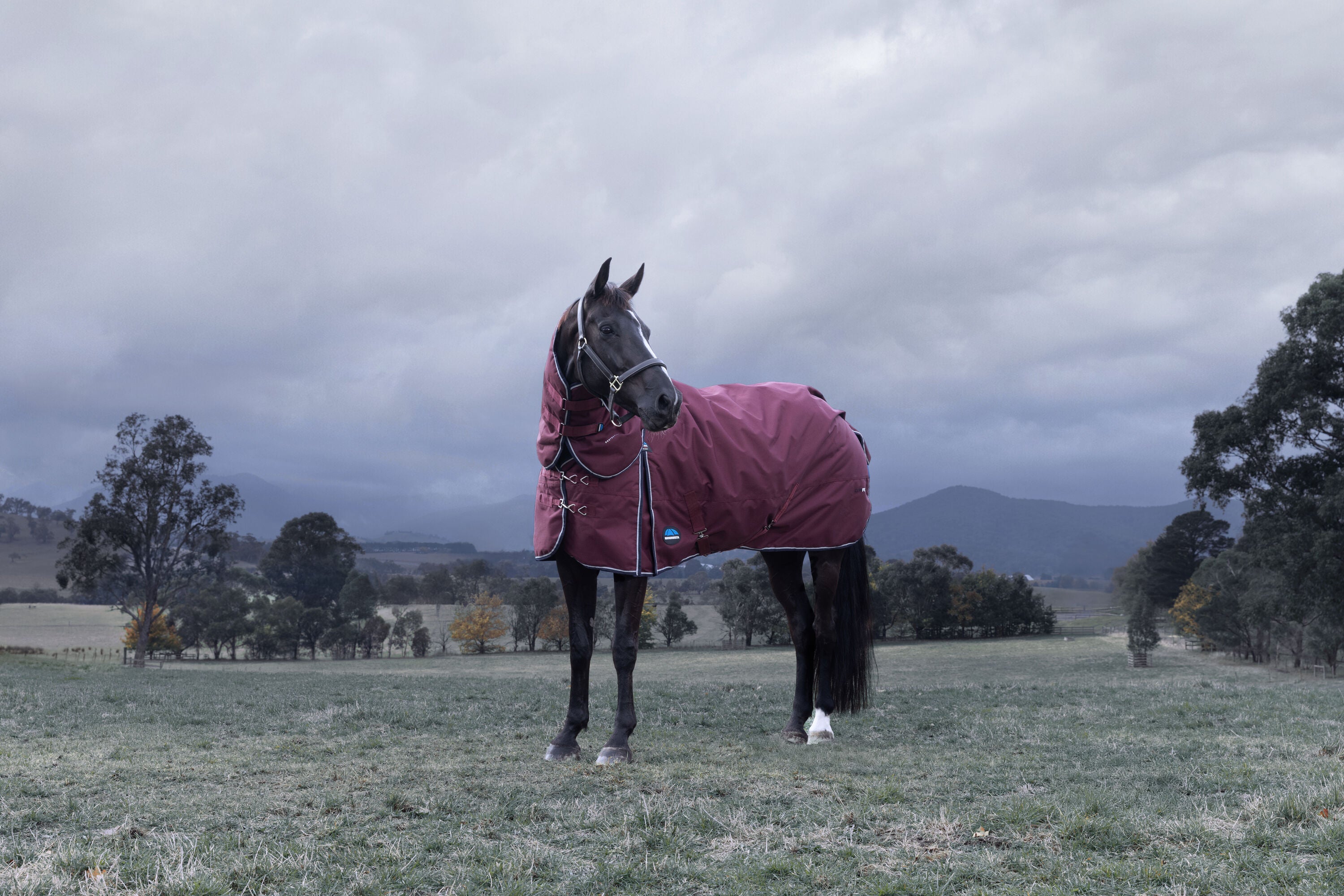 WeatherBeeta ComFiTec Essential Detach-A-Neck Turnout - Burgundy/Navy (220g)