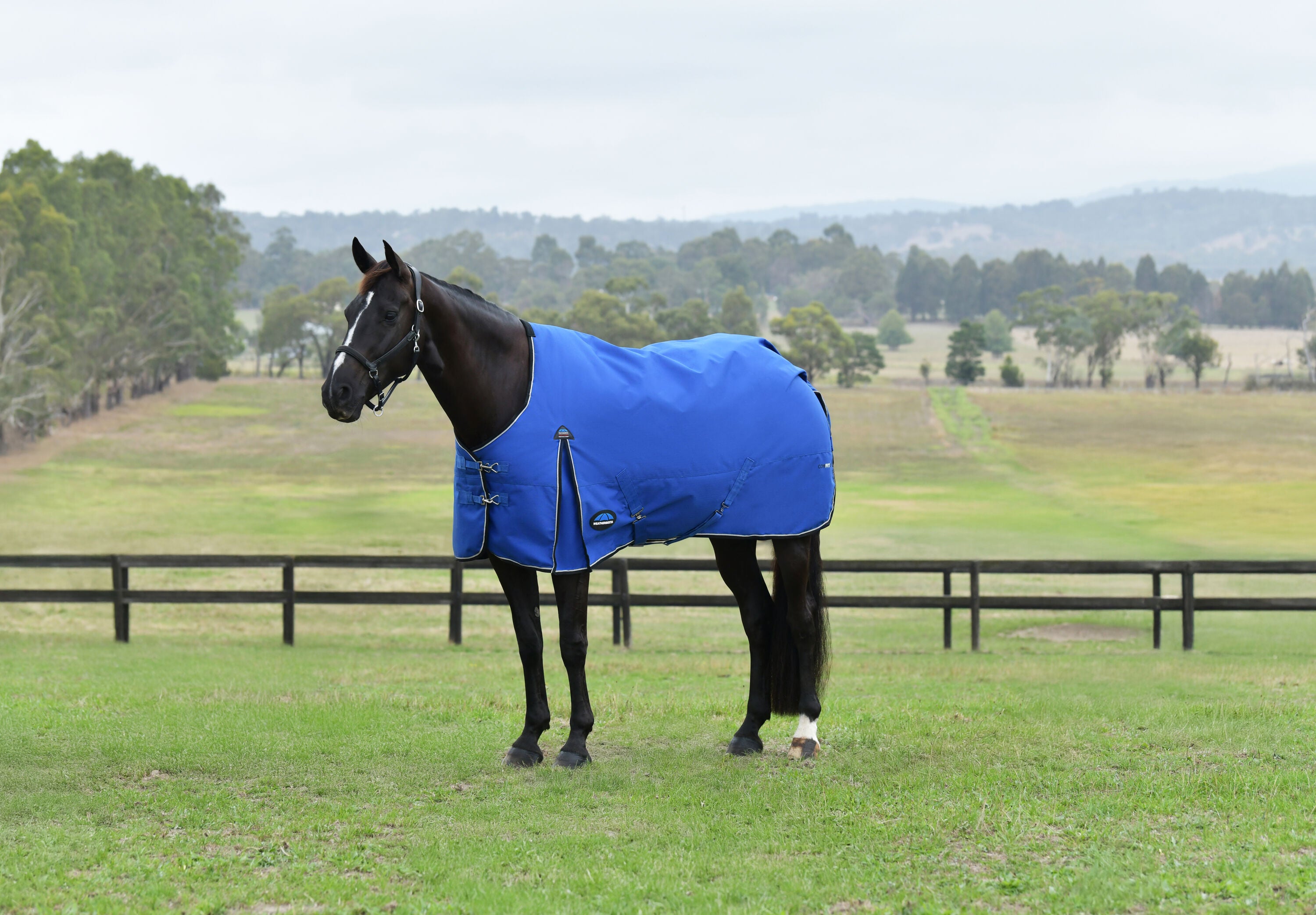 WeatherBeeta ComfiTec Essentials Turnout - Cobalt/Black (220g)