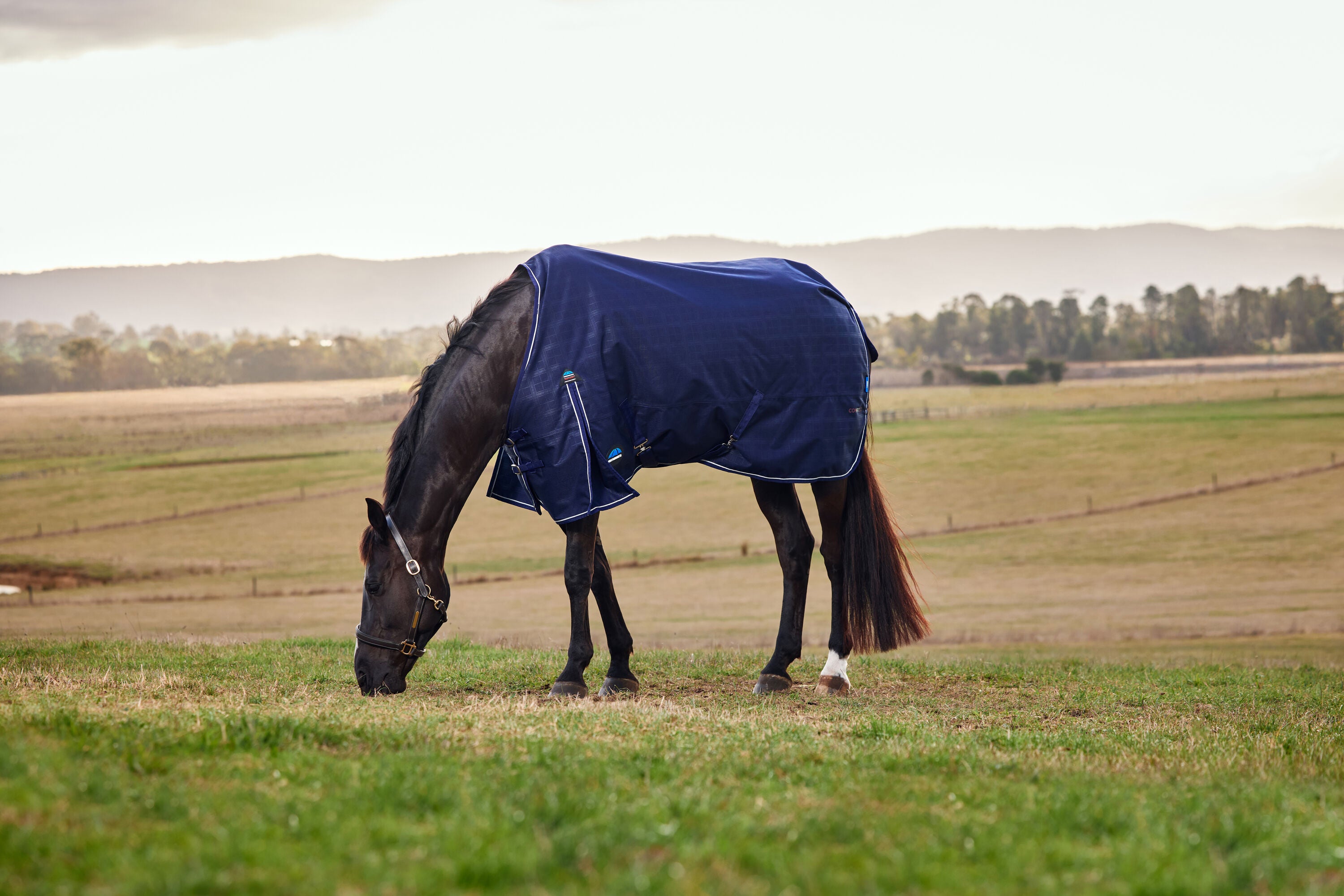 Weatherbeeta ComFiTec Prelim Turnout - Navy Embossed Plaid (220g)