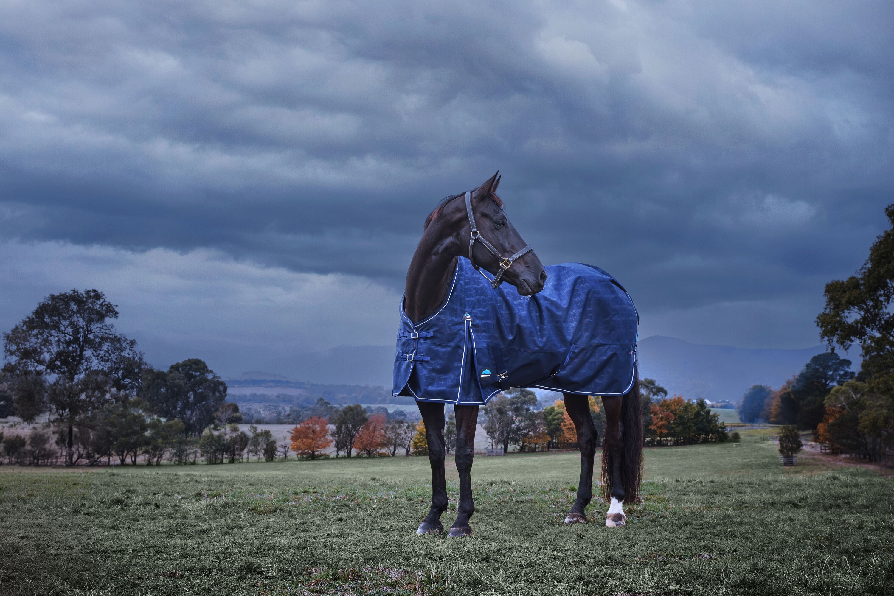 Weatherbeeta ComFiTec Prelim Turnout - Navy Embossed Plaid (220g)