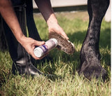 Equiderma Daily Defense Dry Shampoo 16 oz.