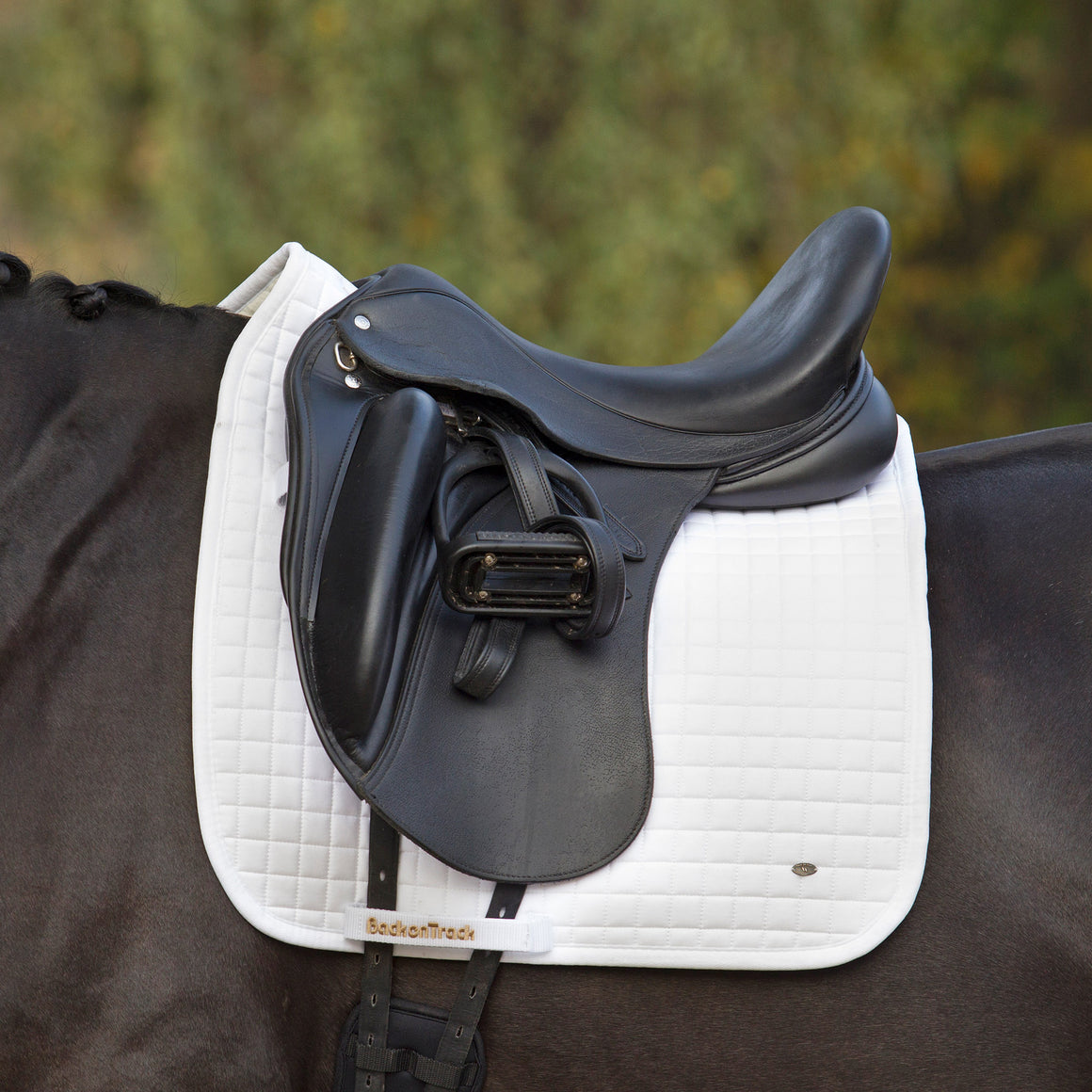 Back On Track Saddle Pad No1 Dressage