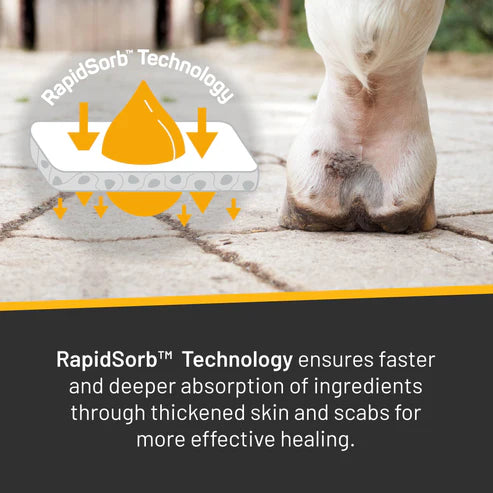 Silver Honey Rapid Skin Relief Vet Strength Scratches Spray