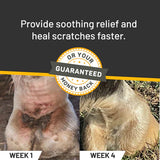 Silver Honey Rapid Skin Relief Vet Strength Scratches Spray