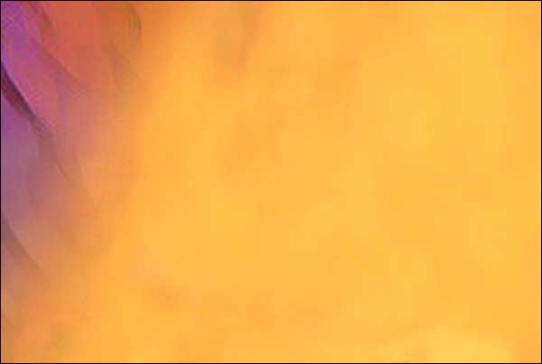 Leanin' Tree Blank All Occassion Card