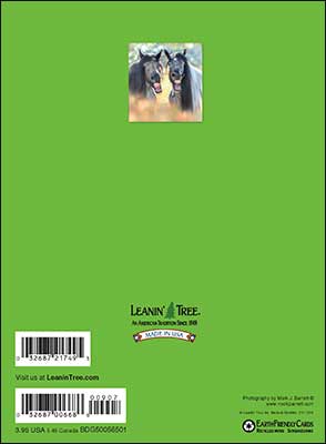 Leanin' Tree Birthday Card