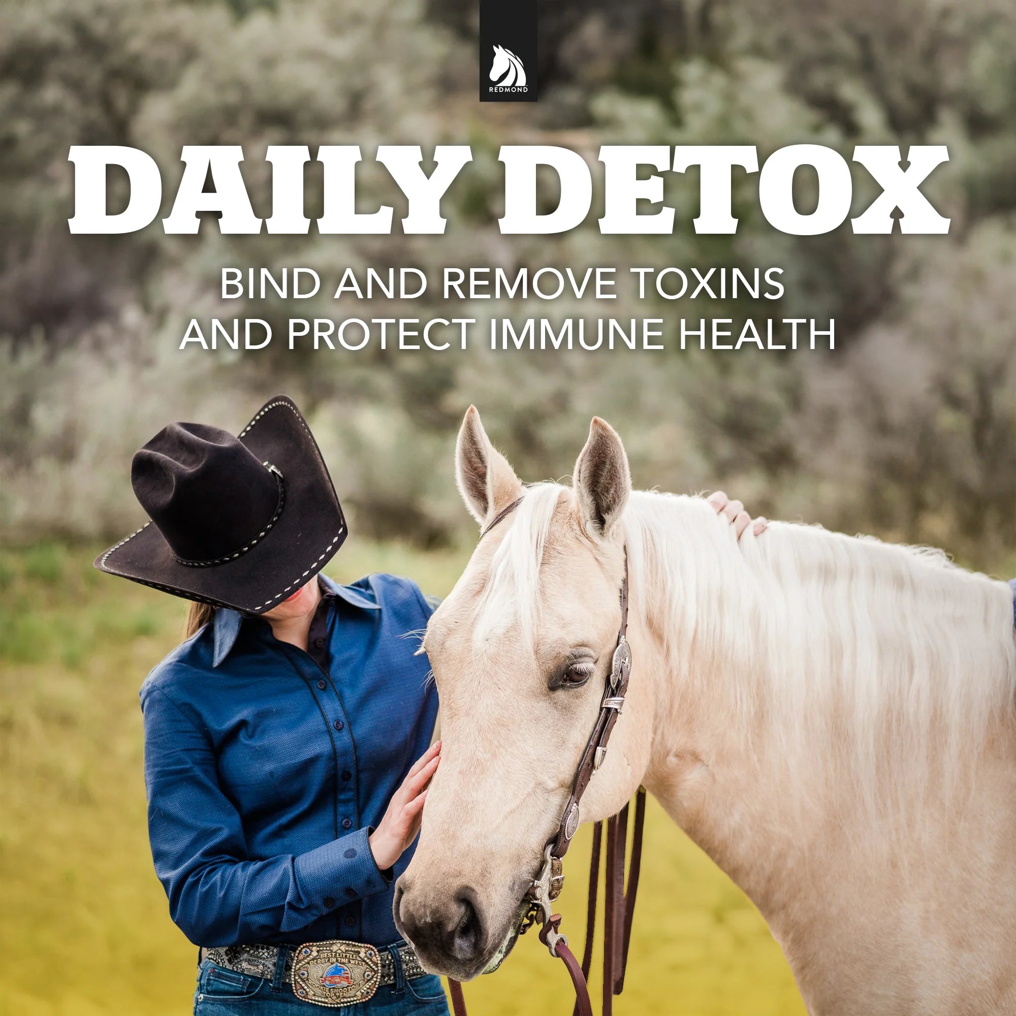 Redmond Daily Gold Horse Supplement