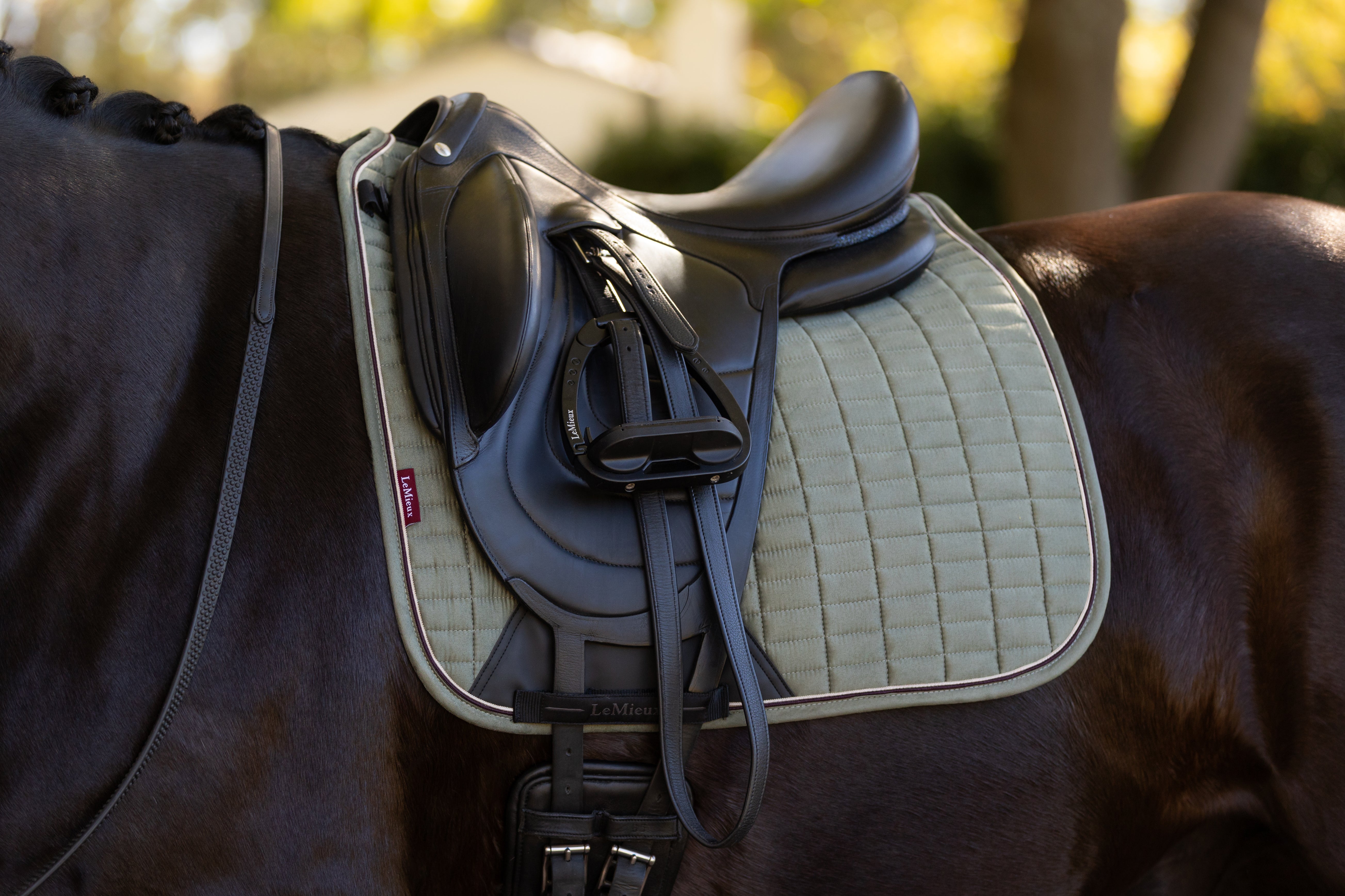 LeMieux Suede Dressage Square Saddle Pad
