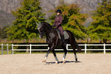 LeMieux Suede Dressage Square Saddle Pad