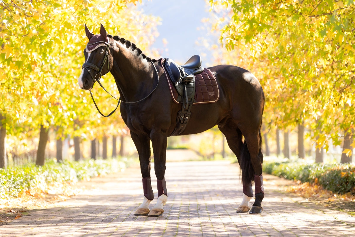 LeMieux Loire Classic Dressage Square Saddle Pad