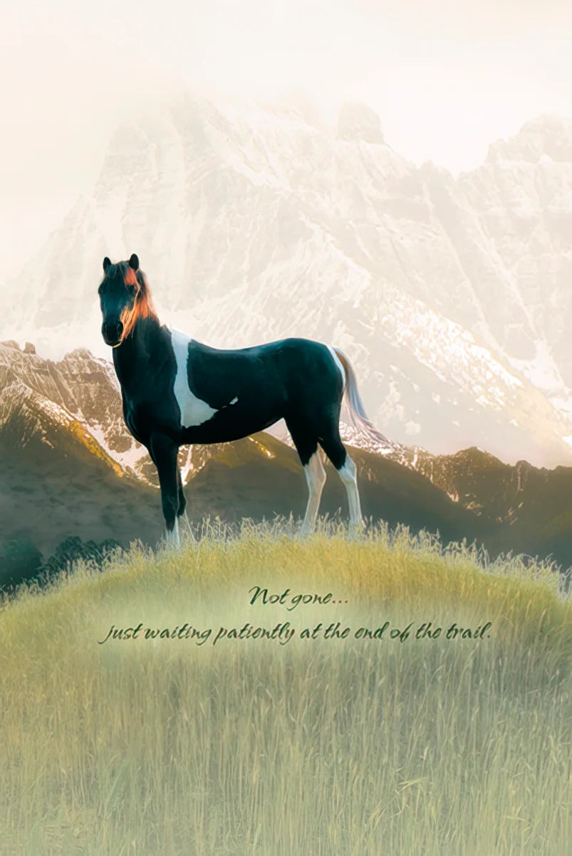 Leanin' Tree Sympathy Card