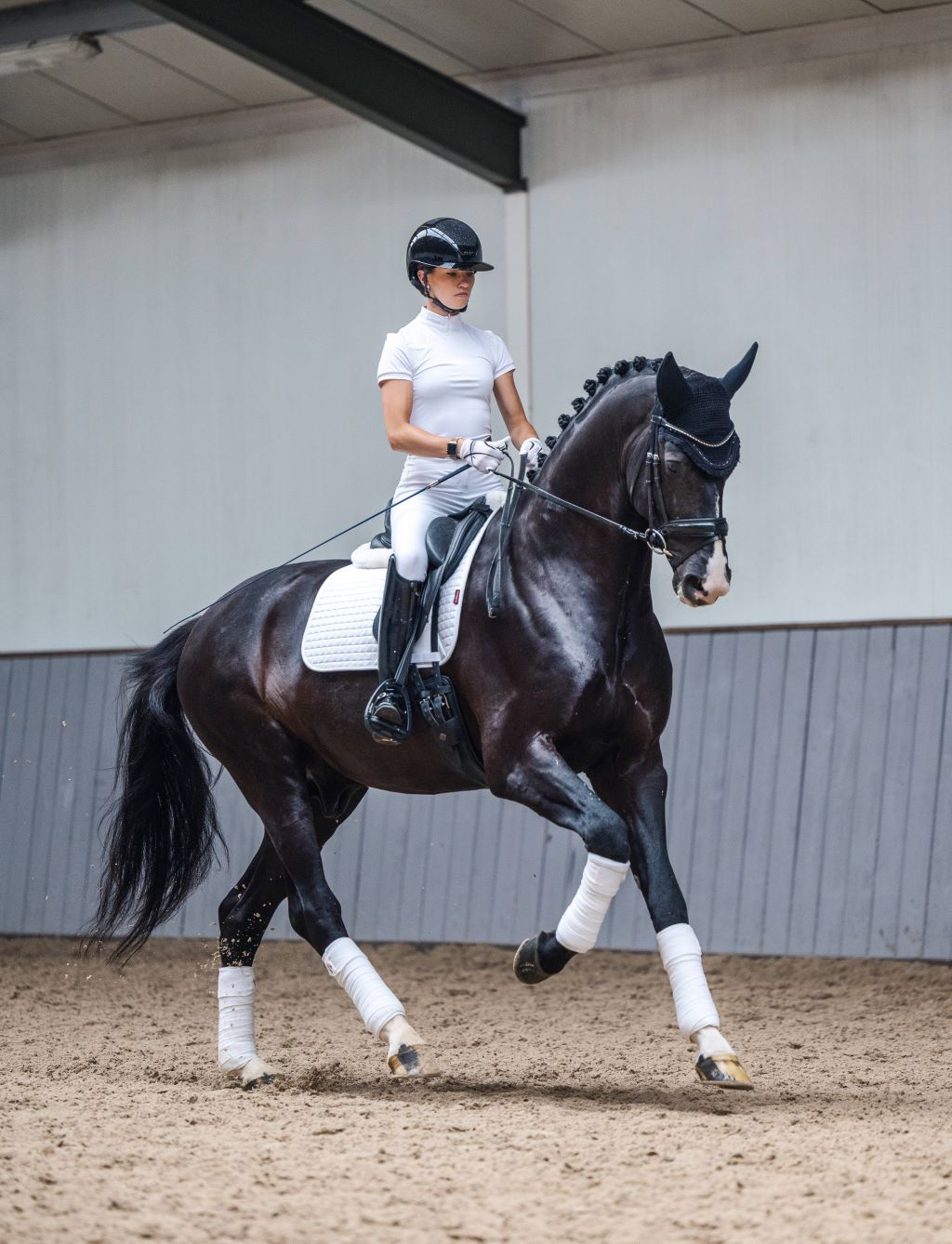 LeMieux Cotton Dressage Square Saddle Pad