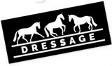 Dapplebay Dressage Stickers