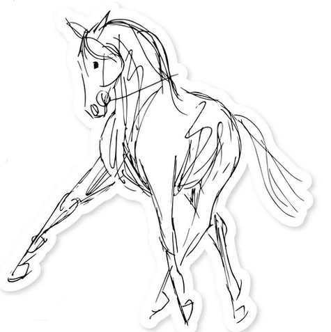 Dapplebay Dressage Stickers