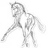 Dapplebay Dressage Stickers