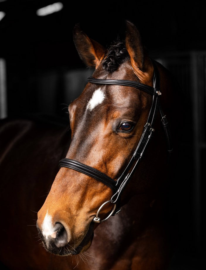 LeMieux Arika Cavesson Bridle