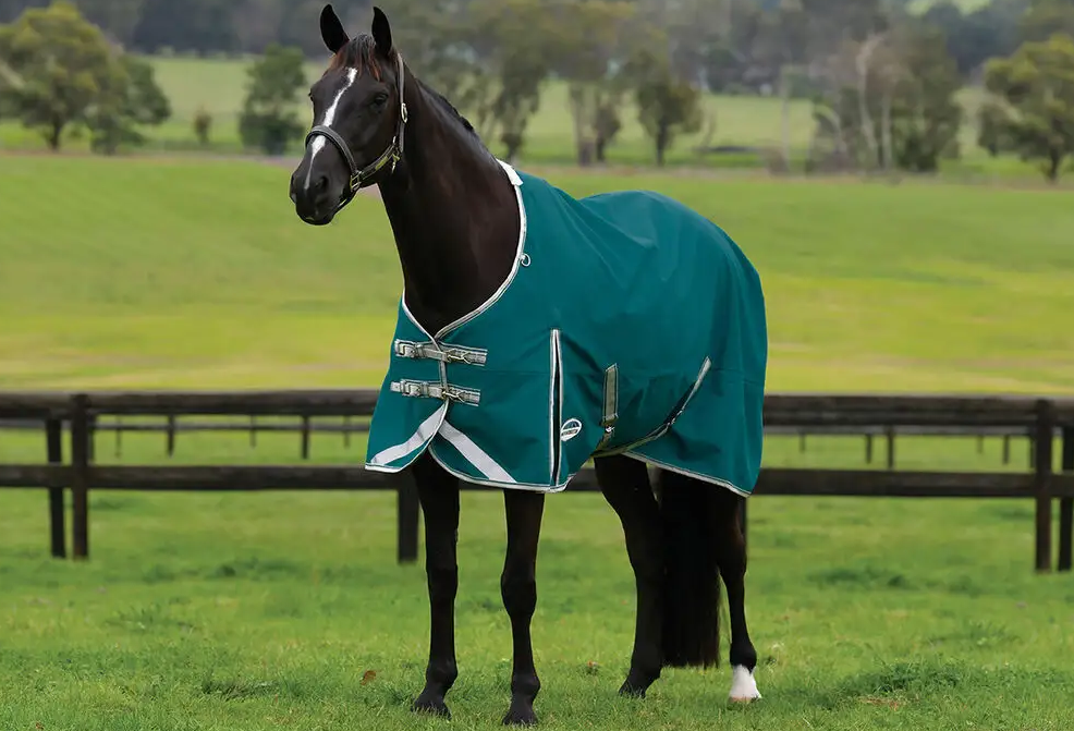 Weatherbeeta ComFiTec Plus Dynamic II Standard Neck Lite