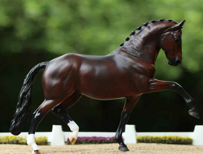 Breyer Salvino