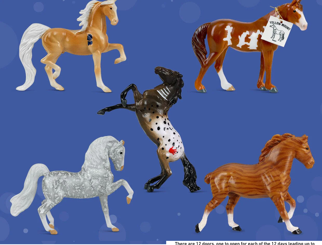 75th Anniversary 12 Days Of Christmas