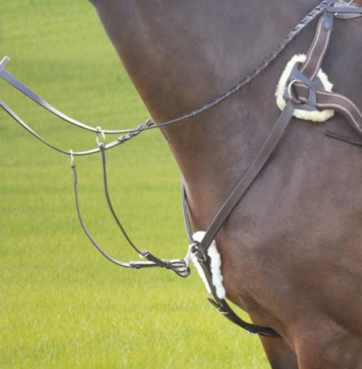 Shires Avignon Five Point Breastplate
