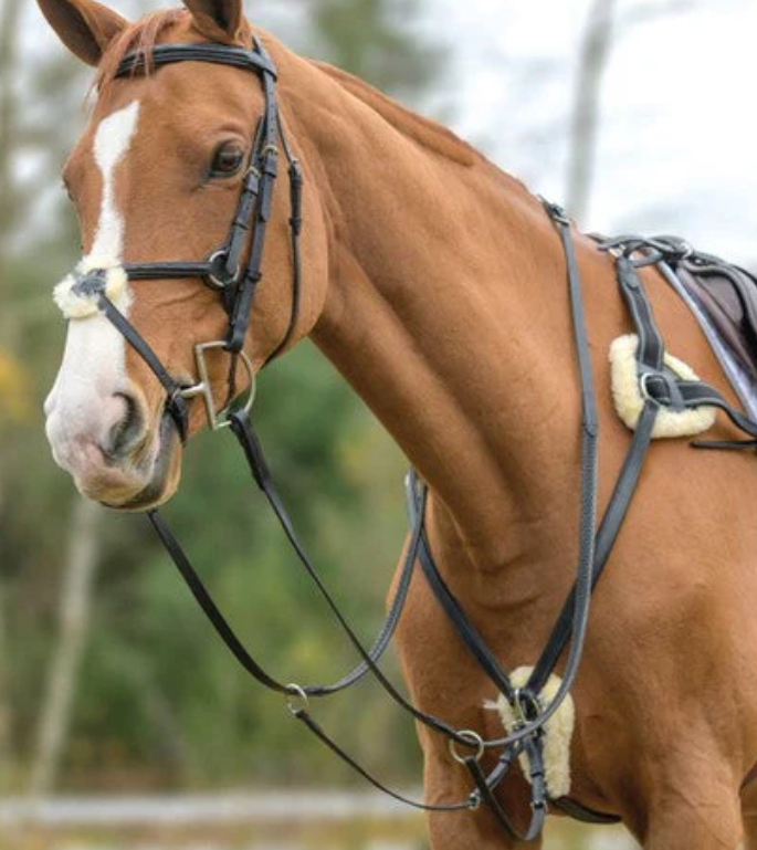 Shires Avignon Five Point Breastplate