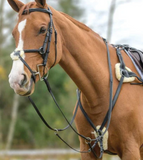 Shires Avignon Five Point Breastplate