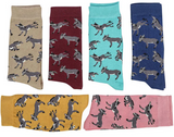 AWST Int'l Playful Donkeys Socks