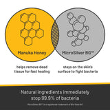Absorbine Silver Honey Rapid Skin Relief Medicated Shampoo