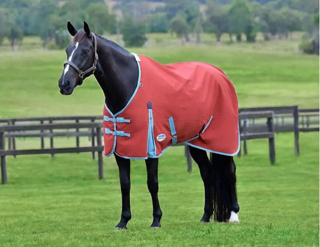 WeaterBeeta ComFiTec Essential Standard Neck Turnout Sheet - Lite (0g)