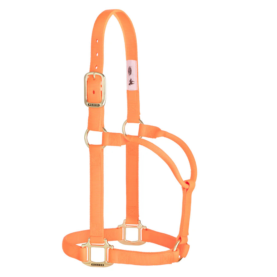 Weaver Original Nylon Halter Non-Adjustable