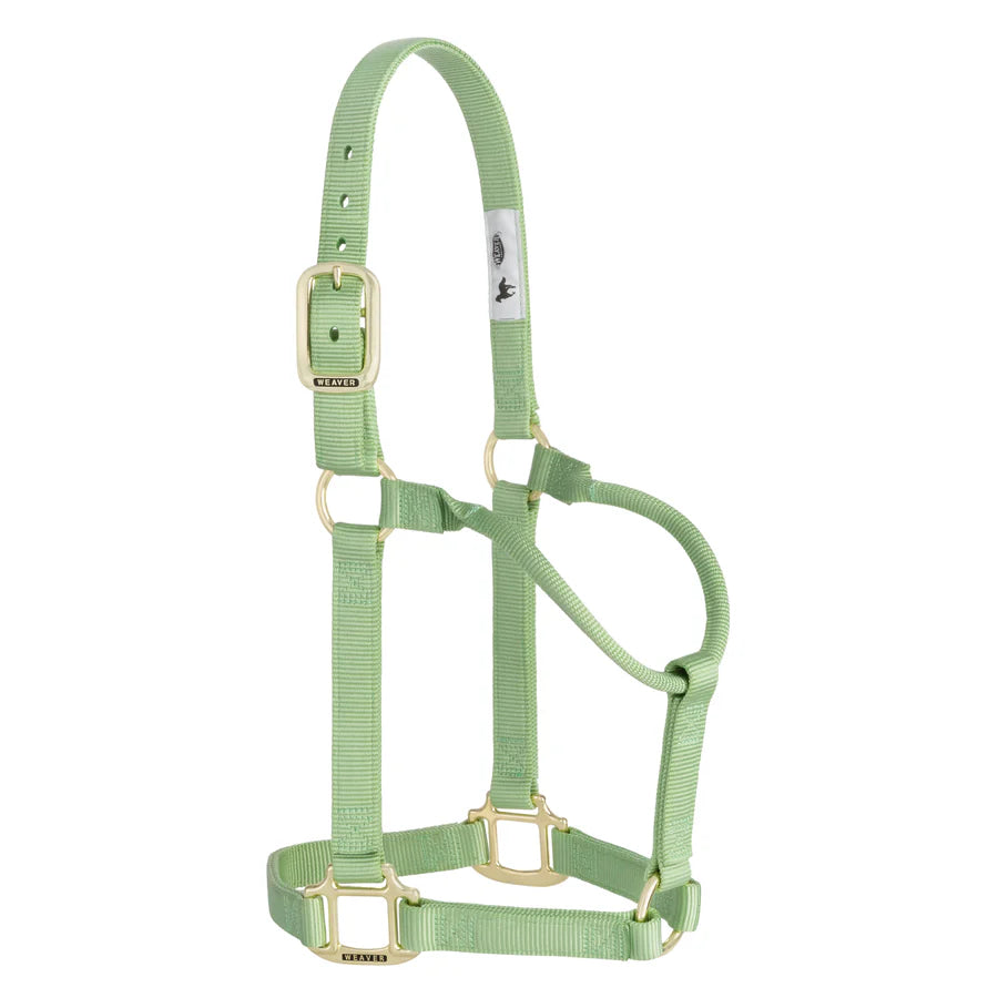 Weaver Original Nylon Halter Non-Adjustable