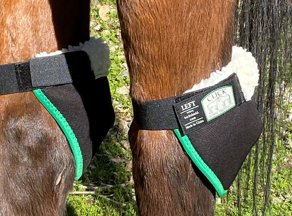 Intrepid Hock Shield