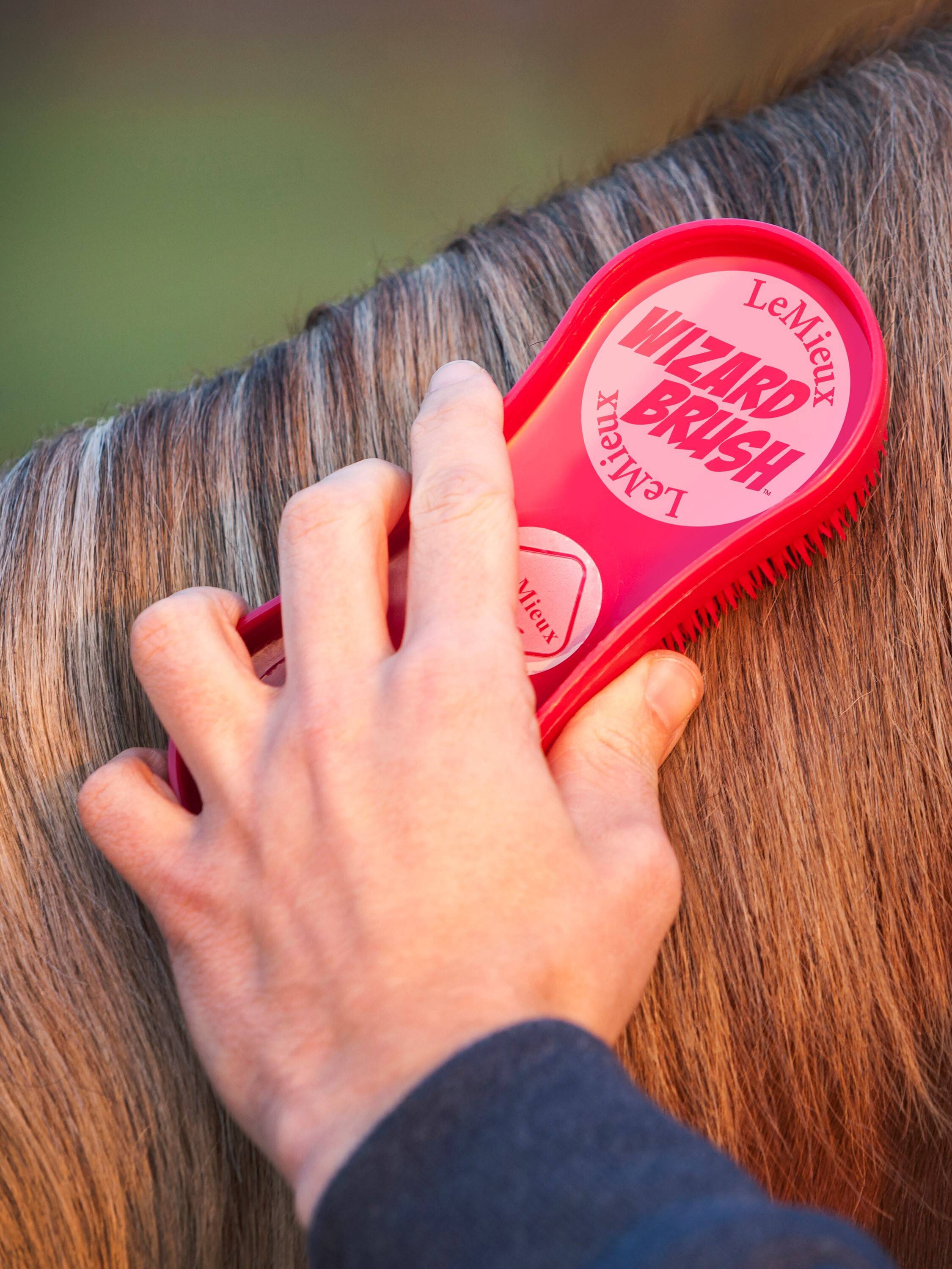 LeMieux Wizard Brush Trio