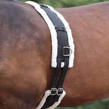 Shires Nylon Lunging Surcingle