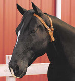 Weaver Miracle Leather Cribbing Collar