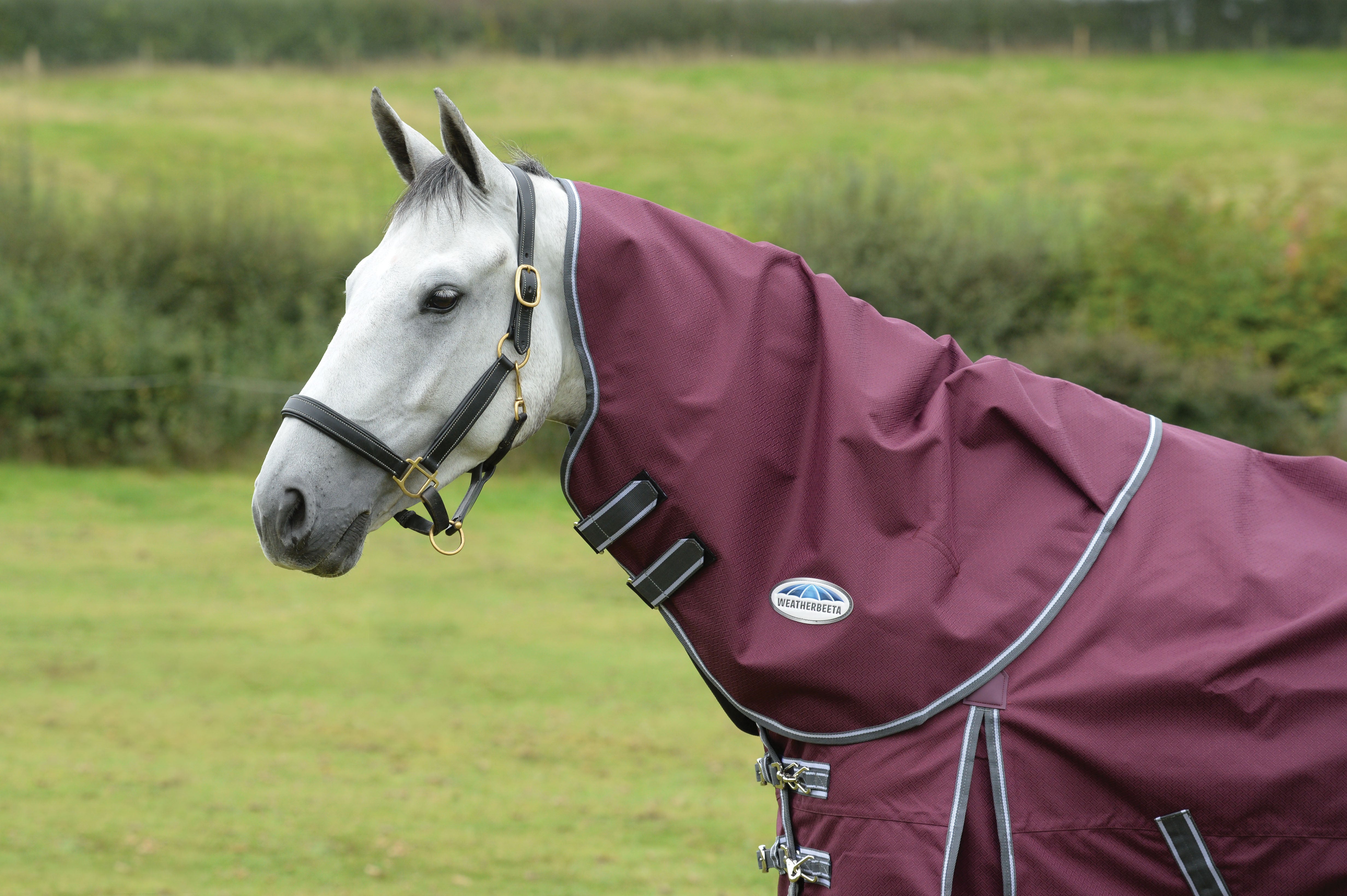 WeatherBeeta ComfiTec Plus Dynamic II Neck Rug- Lite (0g)
