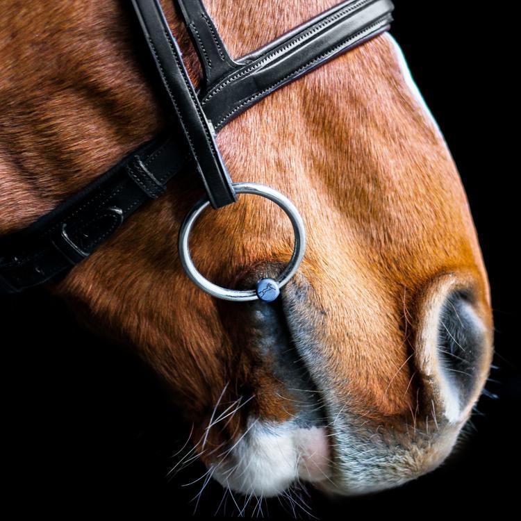 Fager Maria Titanium Double Jointed Loose Ring Snaffle