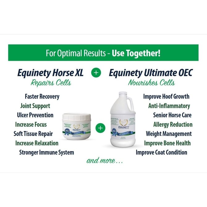 Equinety Horse XL Supplement