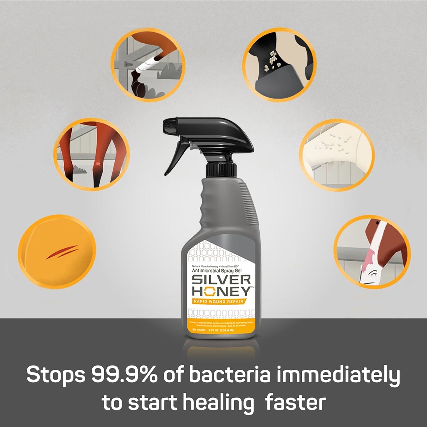 Silver Honey Antimicrobial Rapid Wound Repair Spray Gel