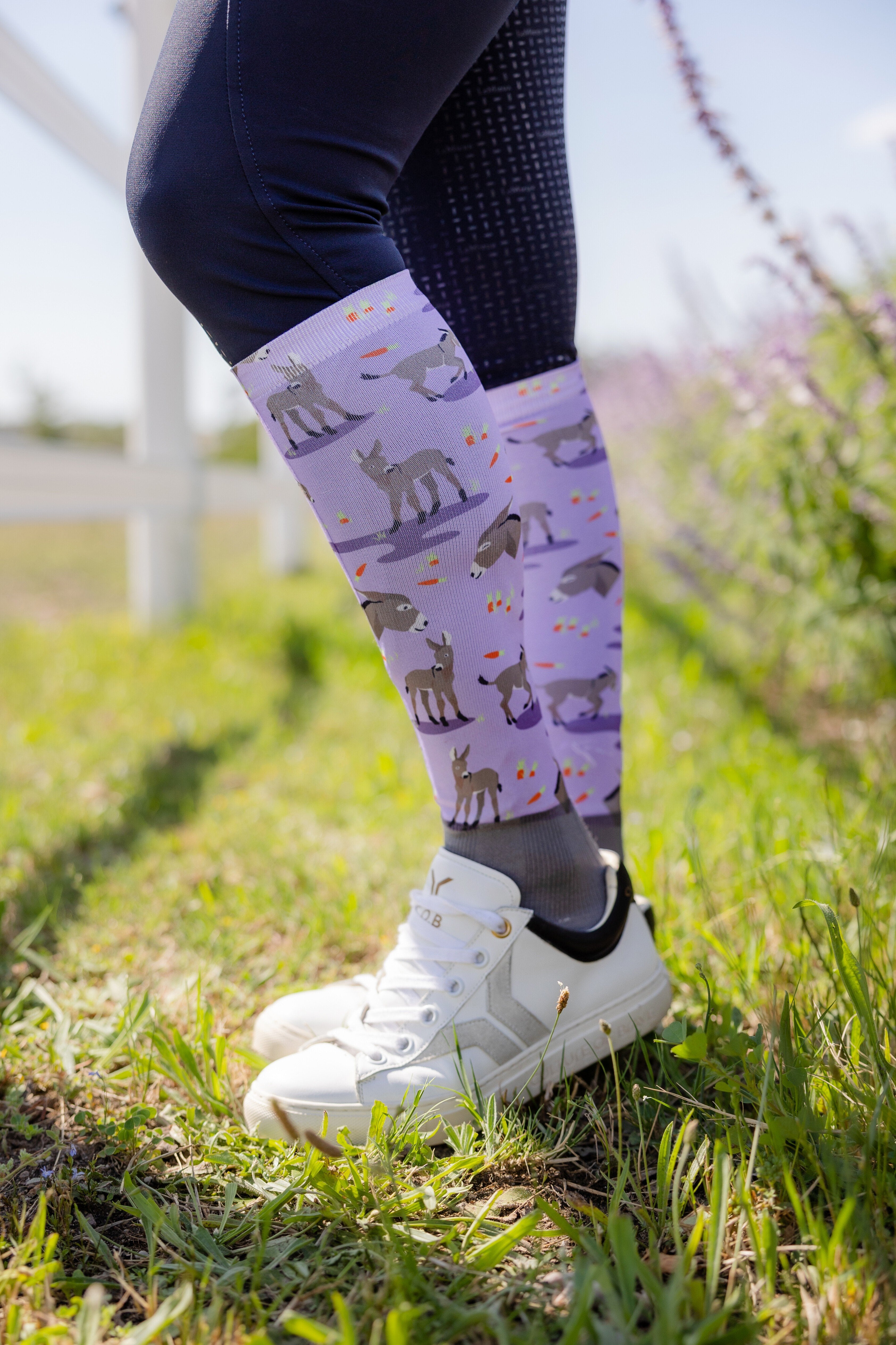 LeMieux Footsie Socks