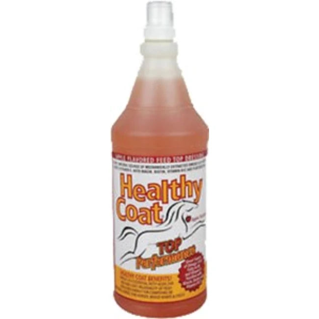 Healthy Coat Horse