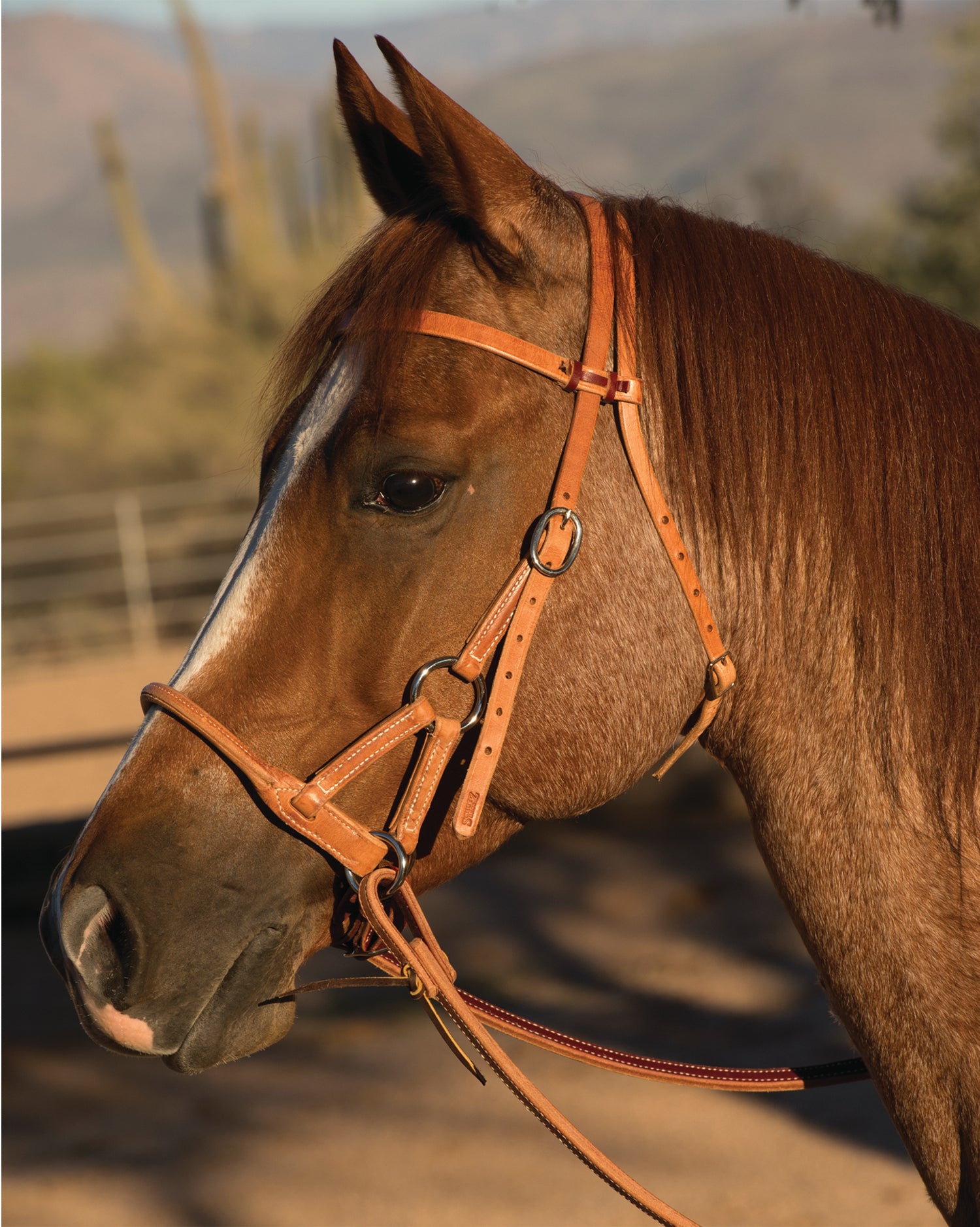 Professional's Choice Round Leather Nose Side Pull